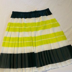 Ann Taylor pleasured skirt size 12 NWT